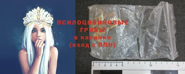 ГАЛЛЮЦИНОГЕННЫЕ ГРИБЫ Бронницы